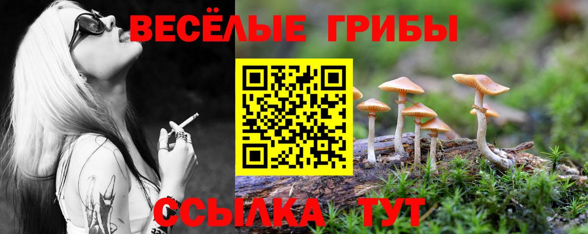 ГАШ  Спасск-Дальний  Мефедрон кристаллы  Вход с VPN  Мефедрон  МЕТАМФЕТАМИН  ГАШ  Cocaine  Бошки Шишки 